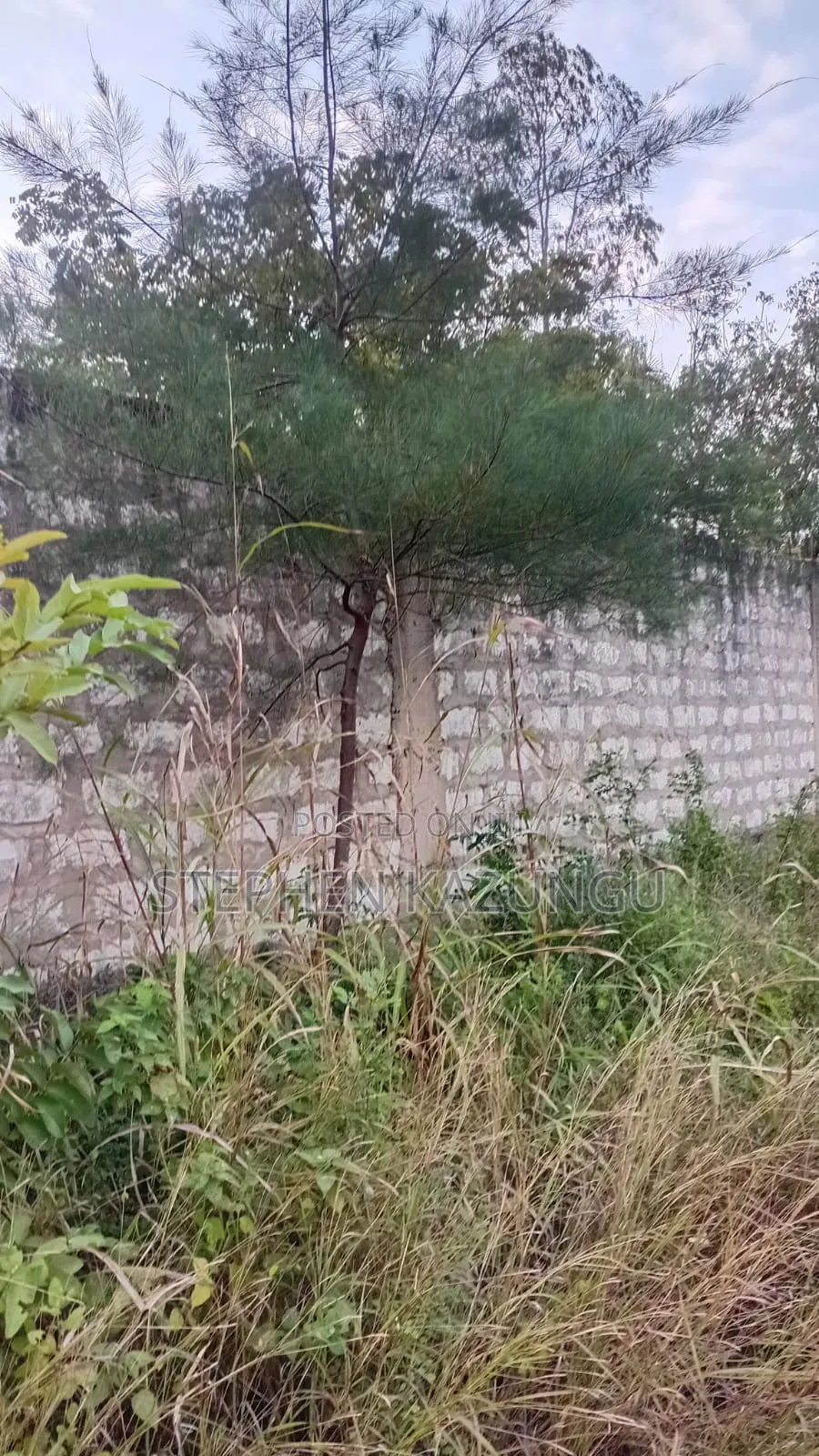 Nice 3/4 Acre Size Plot on Beach Side of Mwabungo at Mtendegwa Area.