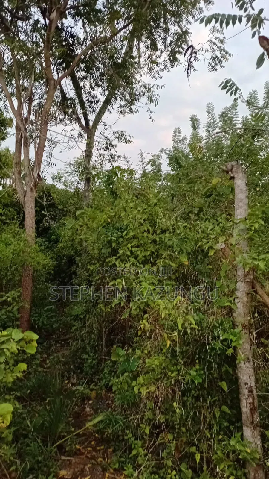 Nice 3/4 Acre Size Plot on Beach Side of Mwabungo at Mtendegwa Area.