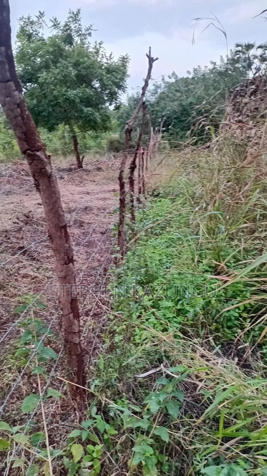 Nice 3/4 Acre Size Plot on Beach Side of Mwabungo at Mtendegwa Area.