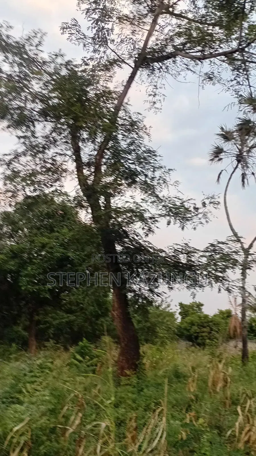 Nice 3/4 Acre Size Plot on Beach Side of Mwabungo at Mtendegwa Area.