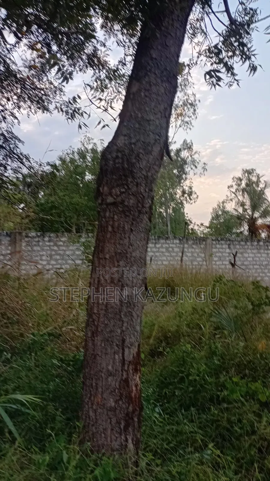Nice 3/4 Acre Size Plot on Beach Side of Mwabungo at Mtendegwa Area.
