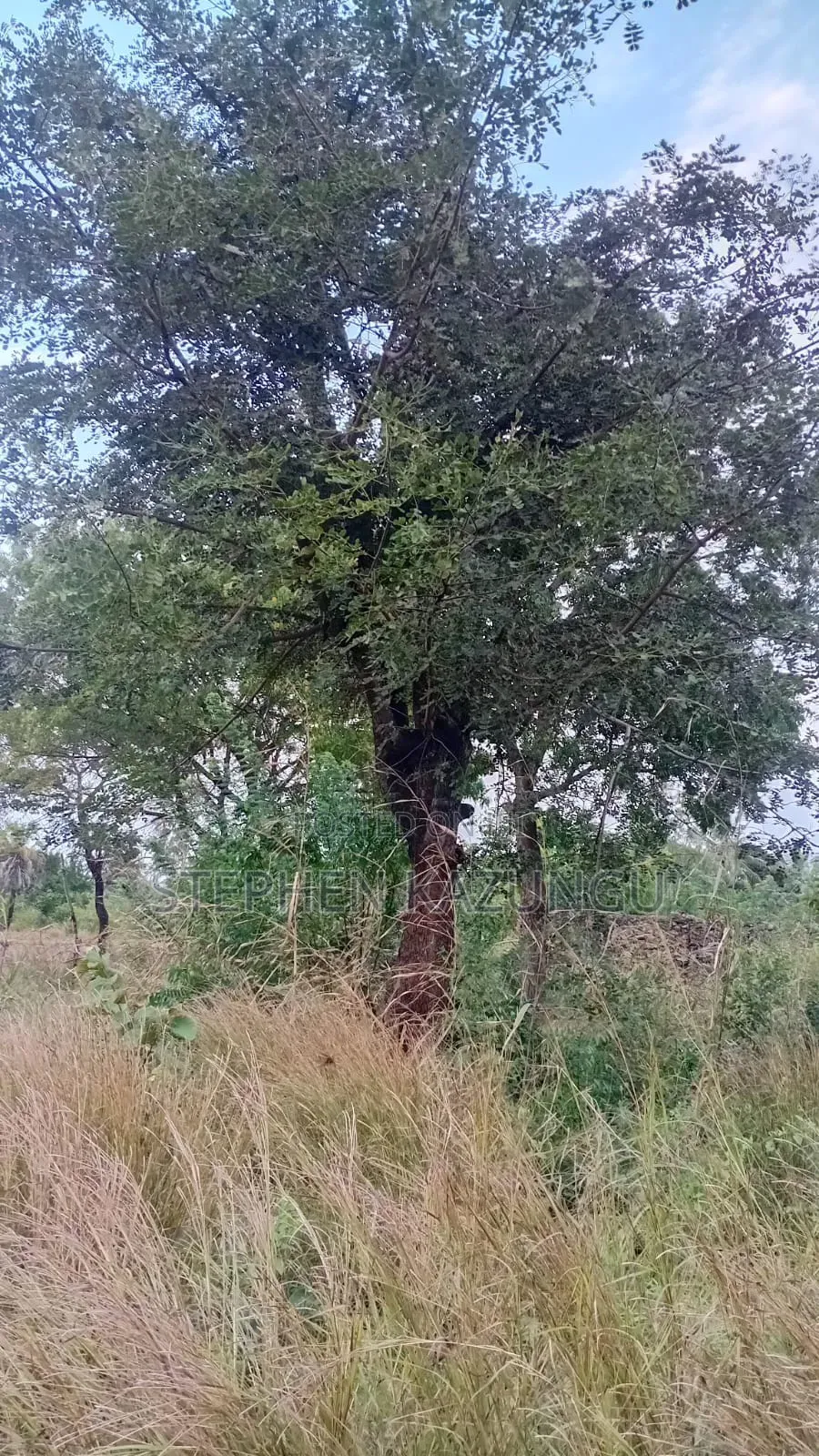 Nice 3/4 Acre Size Plot on Beach Side of Mwabungo at Mtendegwa Area.