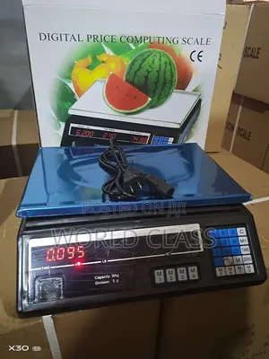 ACS-40 Digital Computing Weighing Scale Armless