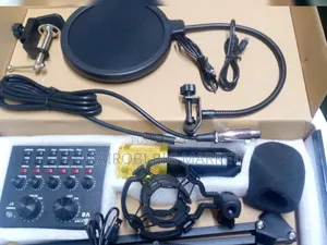 V8 Professional Condensed Microphone
