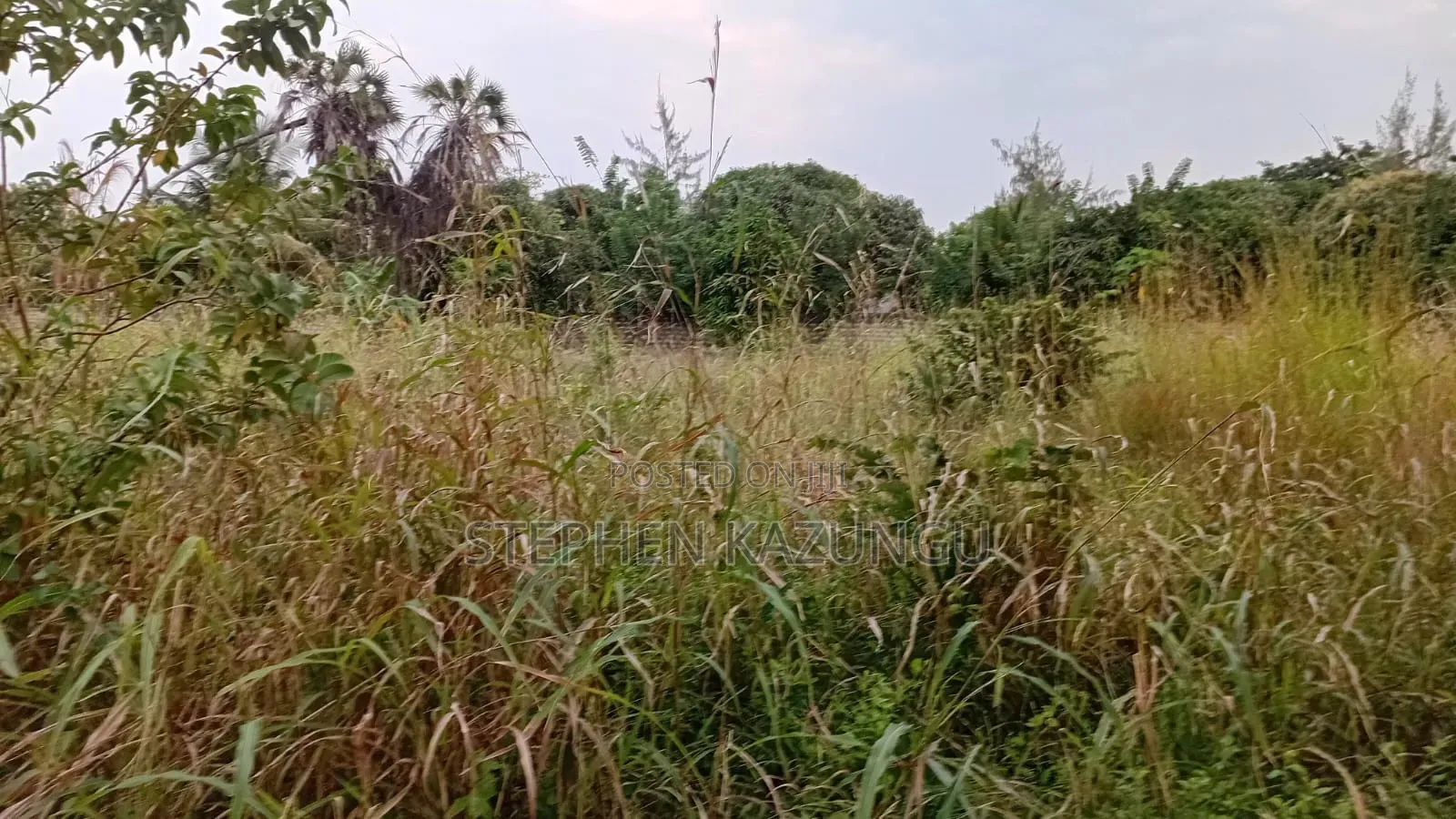 Nice 3/4 Acre Size Plot on Beach Side of Mwabungo at Mtendegwa Area.
