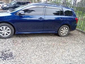 Toyota Corolla Fielder 2008 Blue