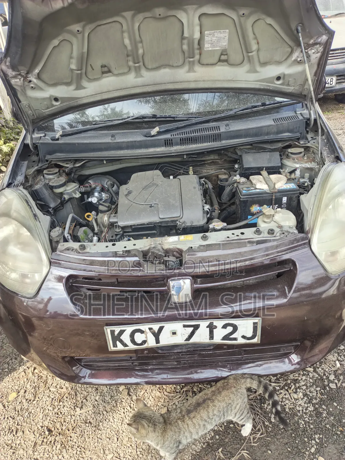 Toyota Passo 2013 Brown