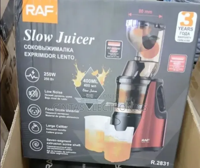 RAF Slow Juicer 250W