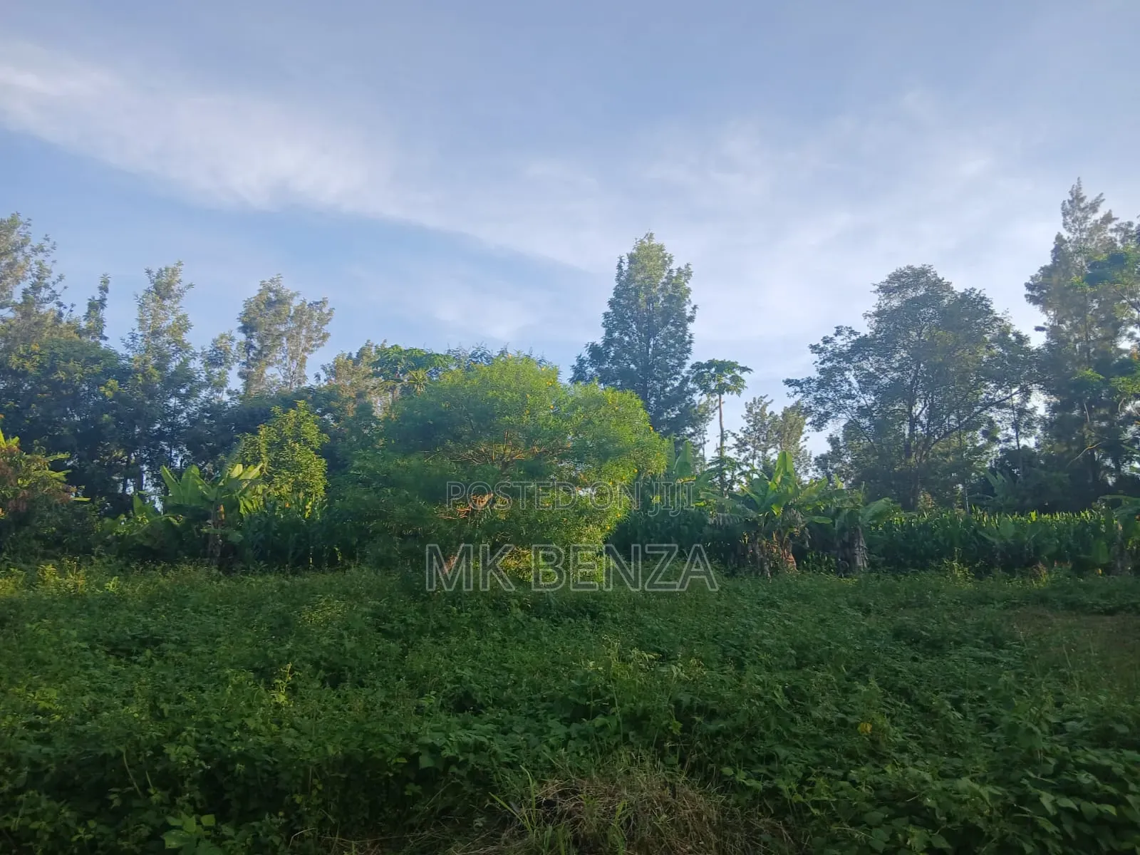 Macvast Gatanga Prime Acres. Gati-Iguru Macvast.