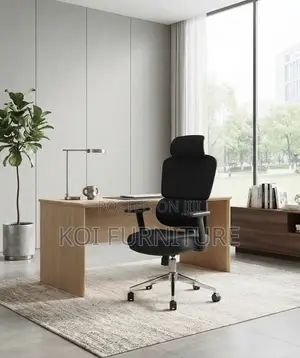 Office Chair; High Back Full Fabric Orthopedic Director Chair