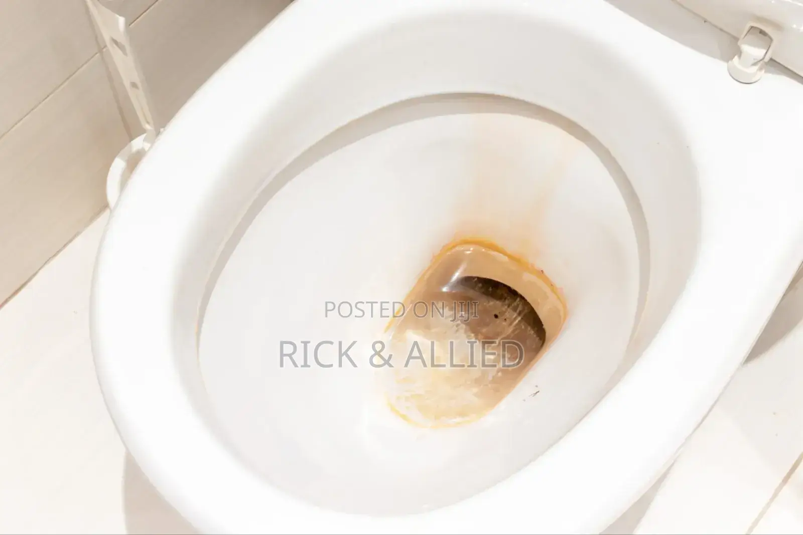 Toilet Stain Hard Water Removal