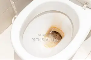 Toilet Stain Hard Water Removal
