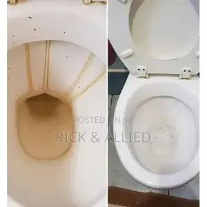 Toilet Stain Hard Water Removal
