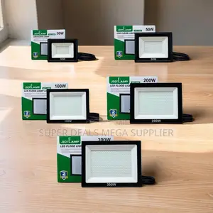 Discount Prices 30W,50W,100W,200W 300W Watts AC Electric Flood Lights
