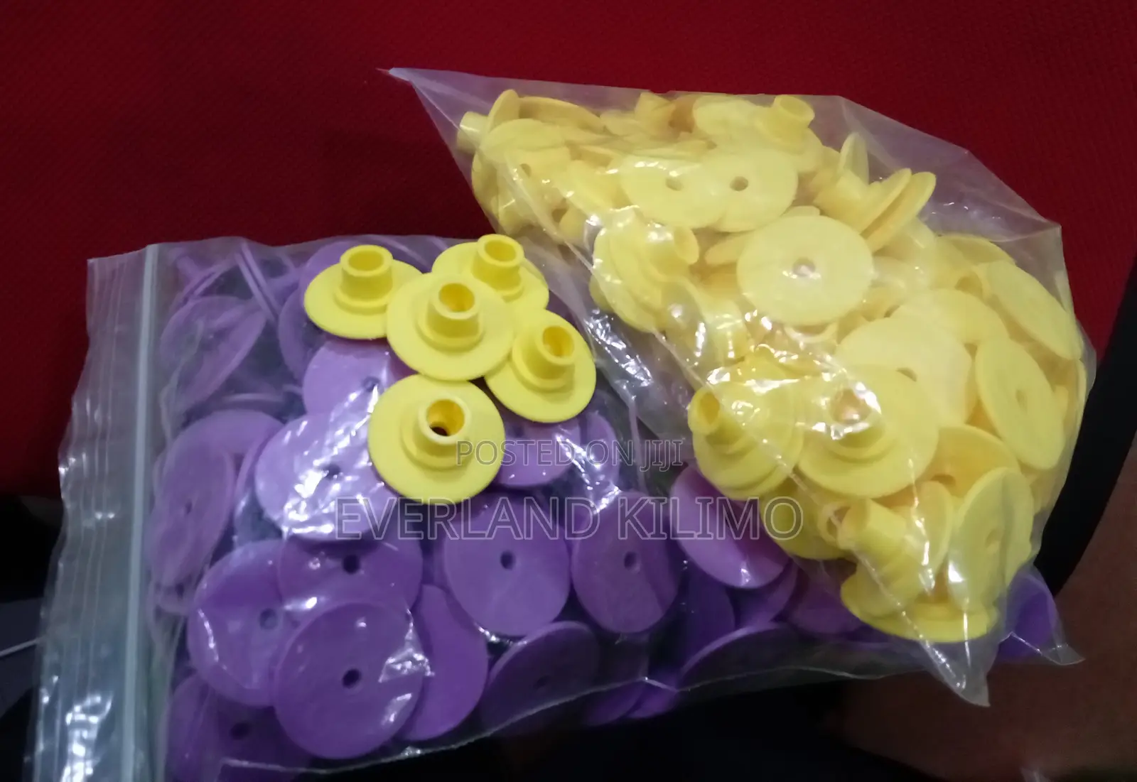 Animal Round Ear Tags for Pigs
