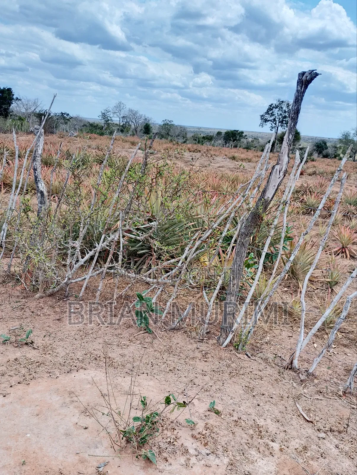 43 Acres on Sale