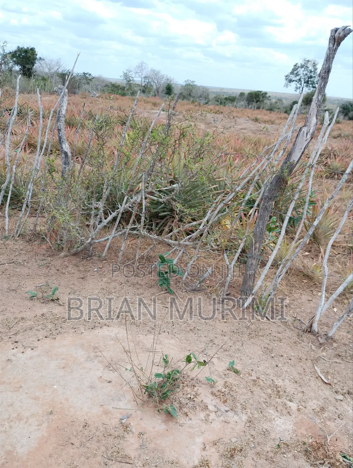 43 Acres on Sale