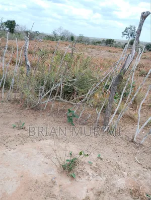 43 Acres on Sale