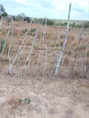 43 Acres on Sale