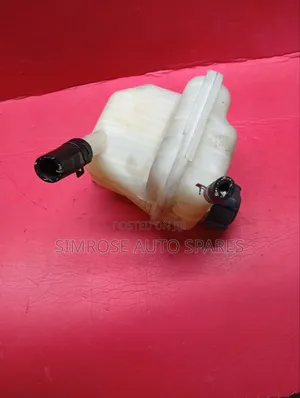 Washer Bottle Nissan Dualis
