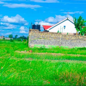 Juja Farm Residential Plots ( Affordable Plots)