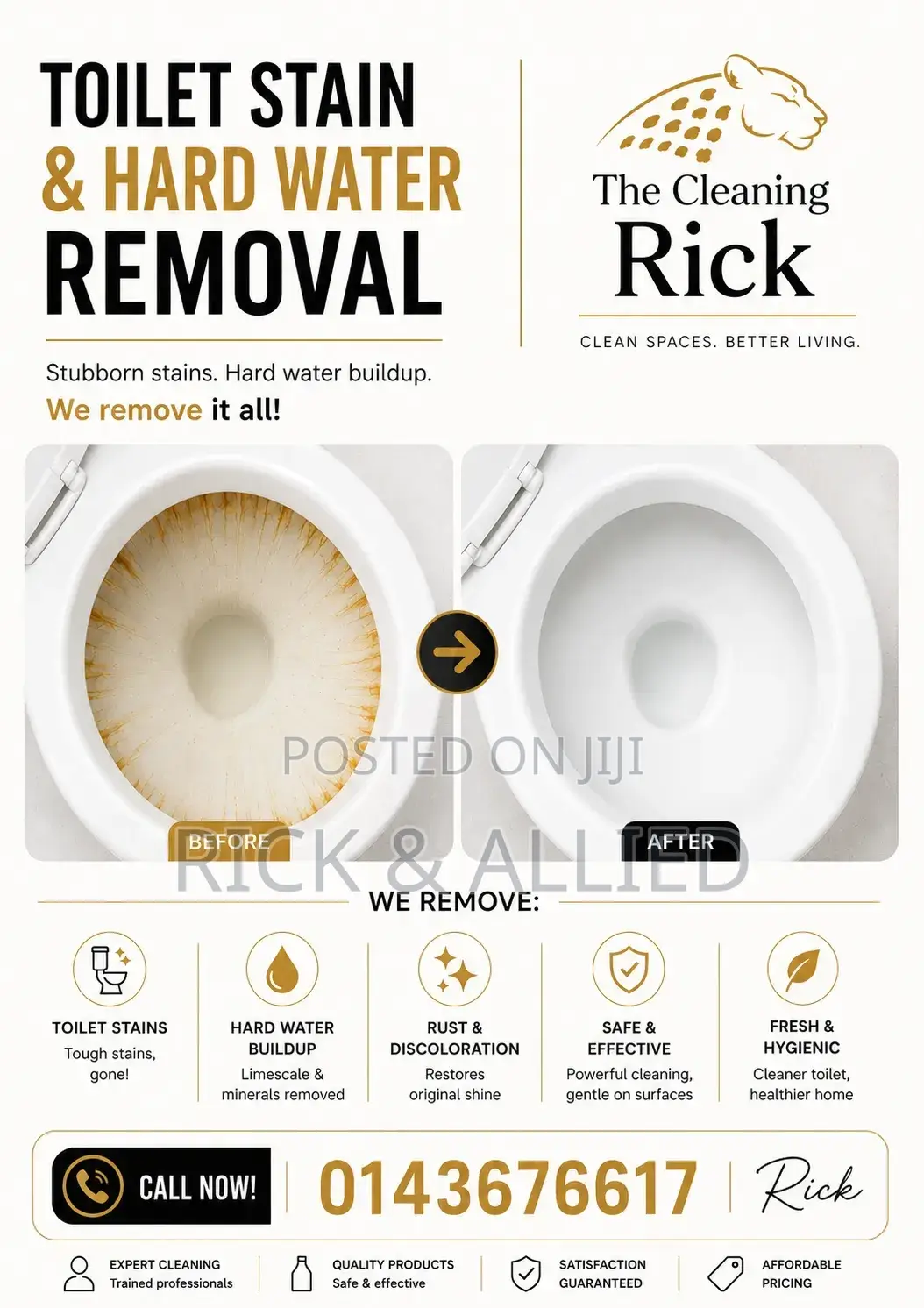 Toilet Stain Hard Water Removal