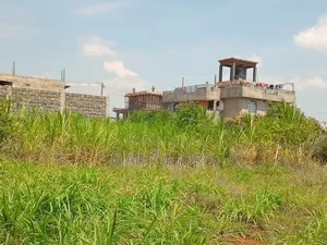 1/8 Acre Ngoigwa