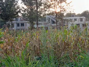 Oaklands 1/8 Acre Ruiru