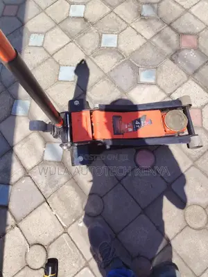 Latest Technology and Modern Design Carlift 4tns Trolley Jack Sunshine