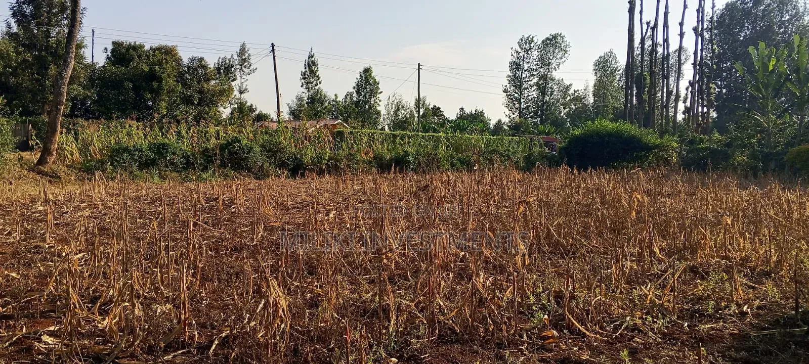 2.5 Acres Land on Sale at Kangaita