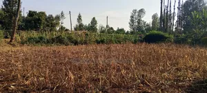 2.5 Acres Land on Sale at Kangaita
