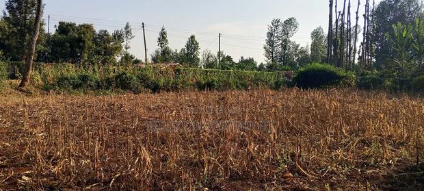 2.5 Acres Land on Sale at Kangaita