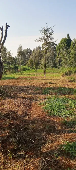 2.5 Acres Land on Sale at Kangaita