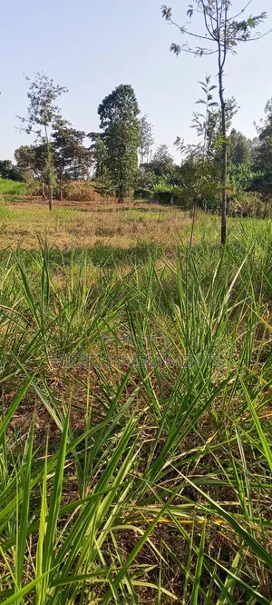 2.5 Acres Land on Sale at Kangaita