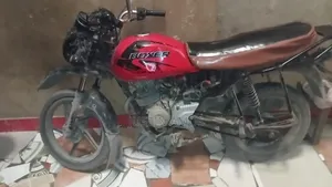 Bajaj Boxer 125 2024 Red