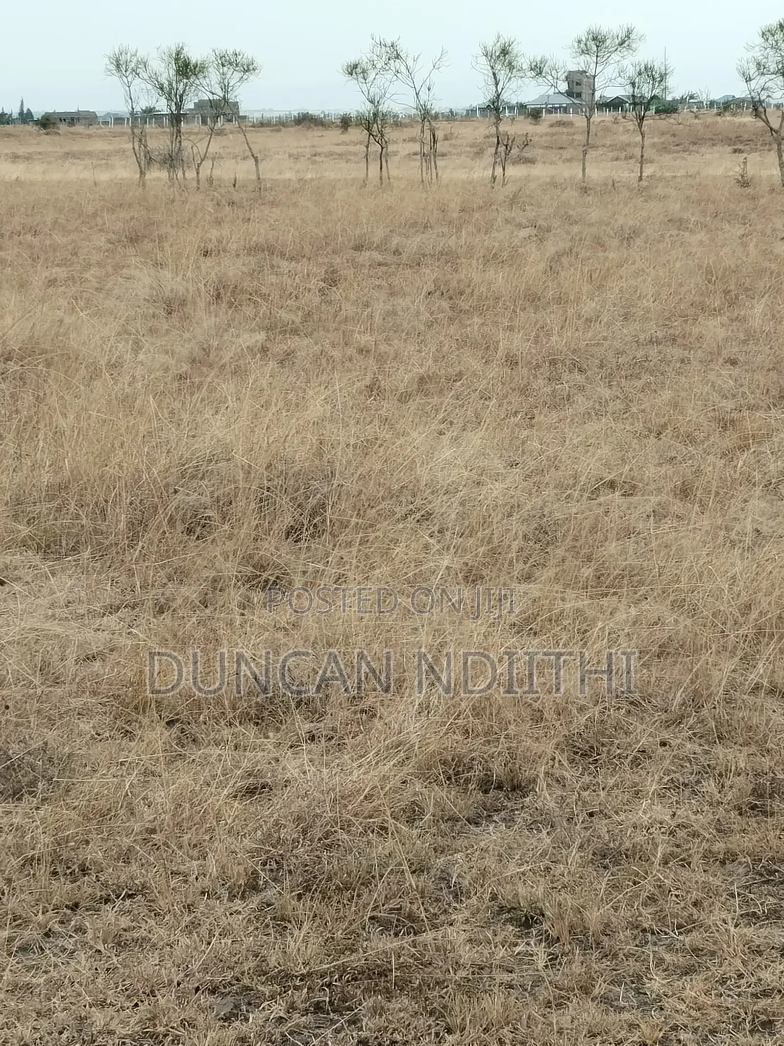 Juja Athi 50x100 Plot for Sale