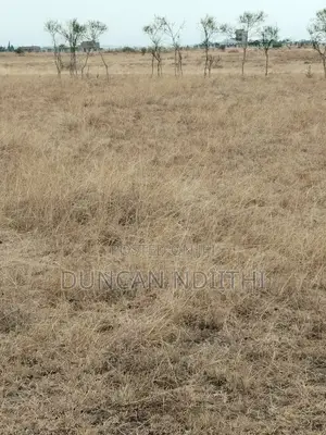 Juja Athi 50x100 Plot for Sale