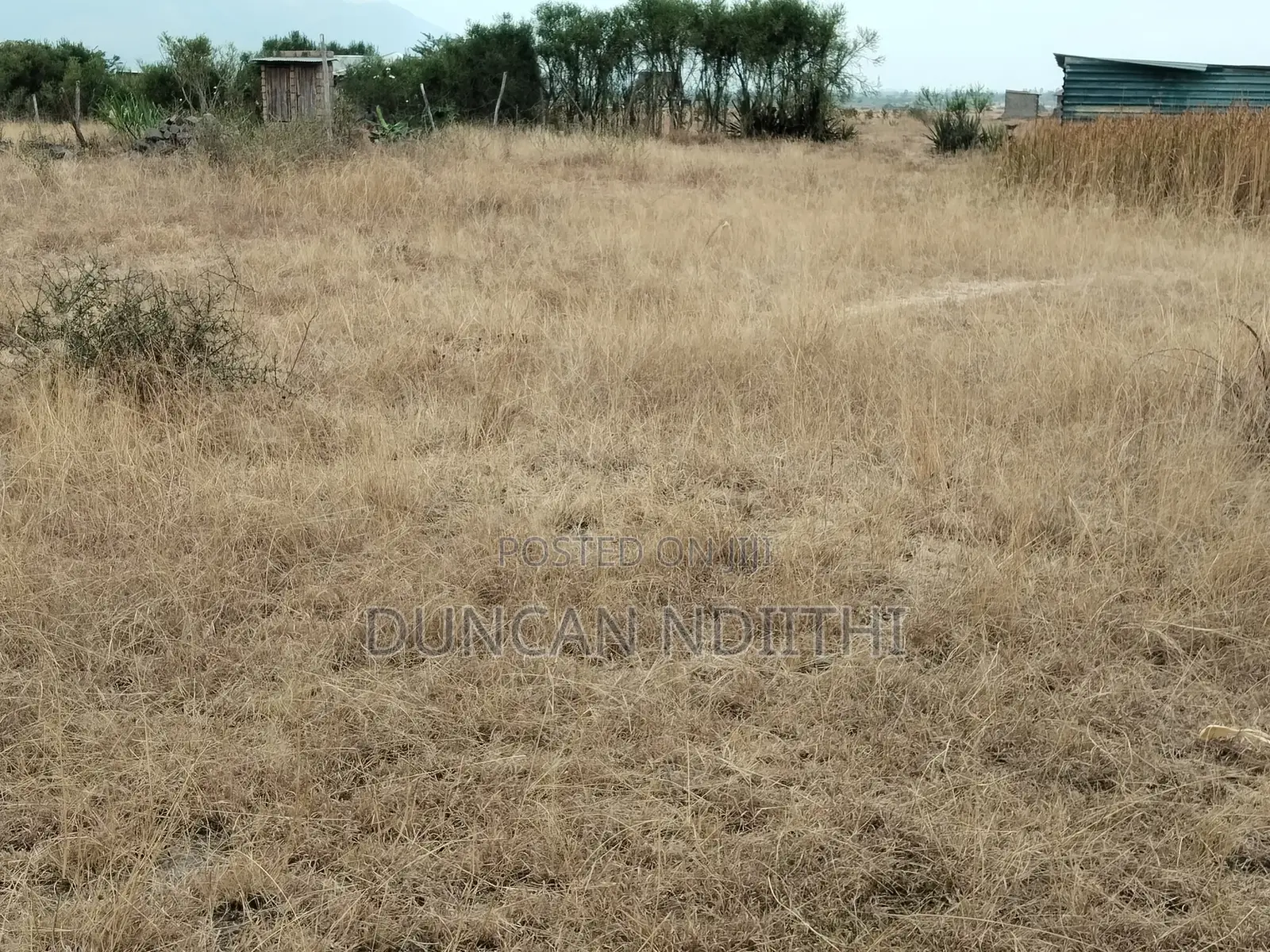 Juja Athi 50x100 Plot for Sale