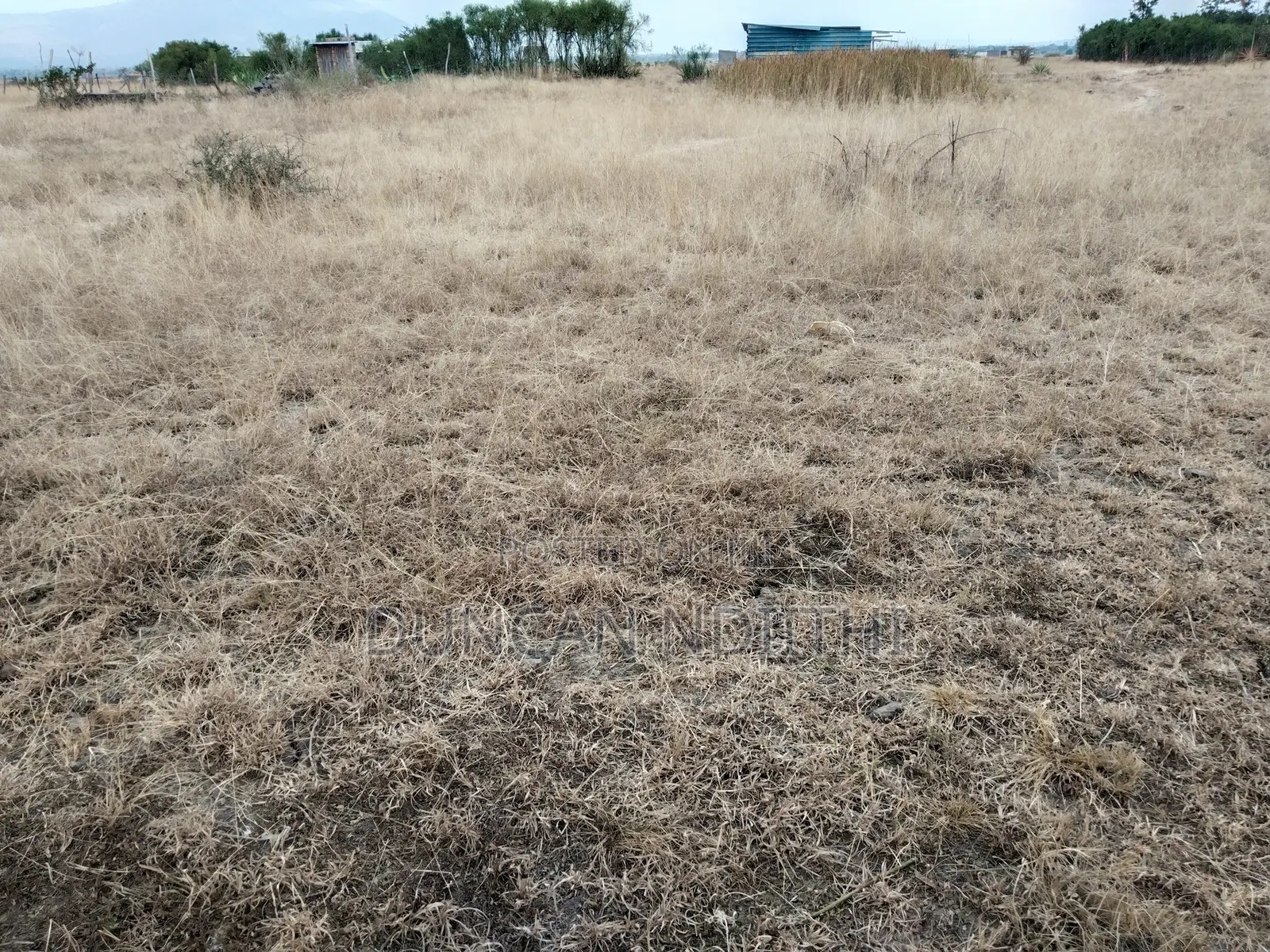 Juja Athi 50x100 Plot for Sale