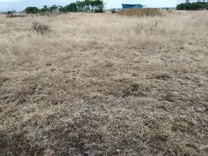 Juja Athi 50x100 Plot for Sale