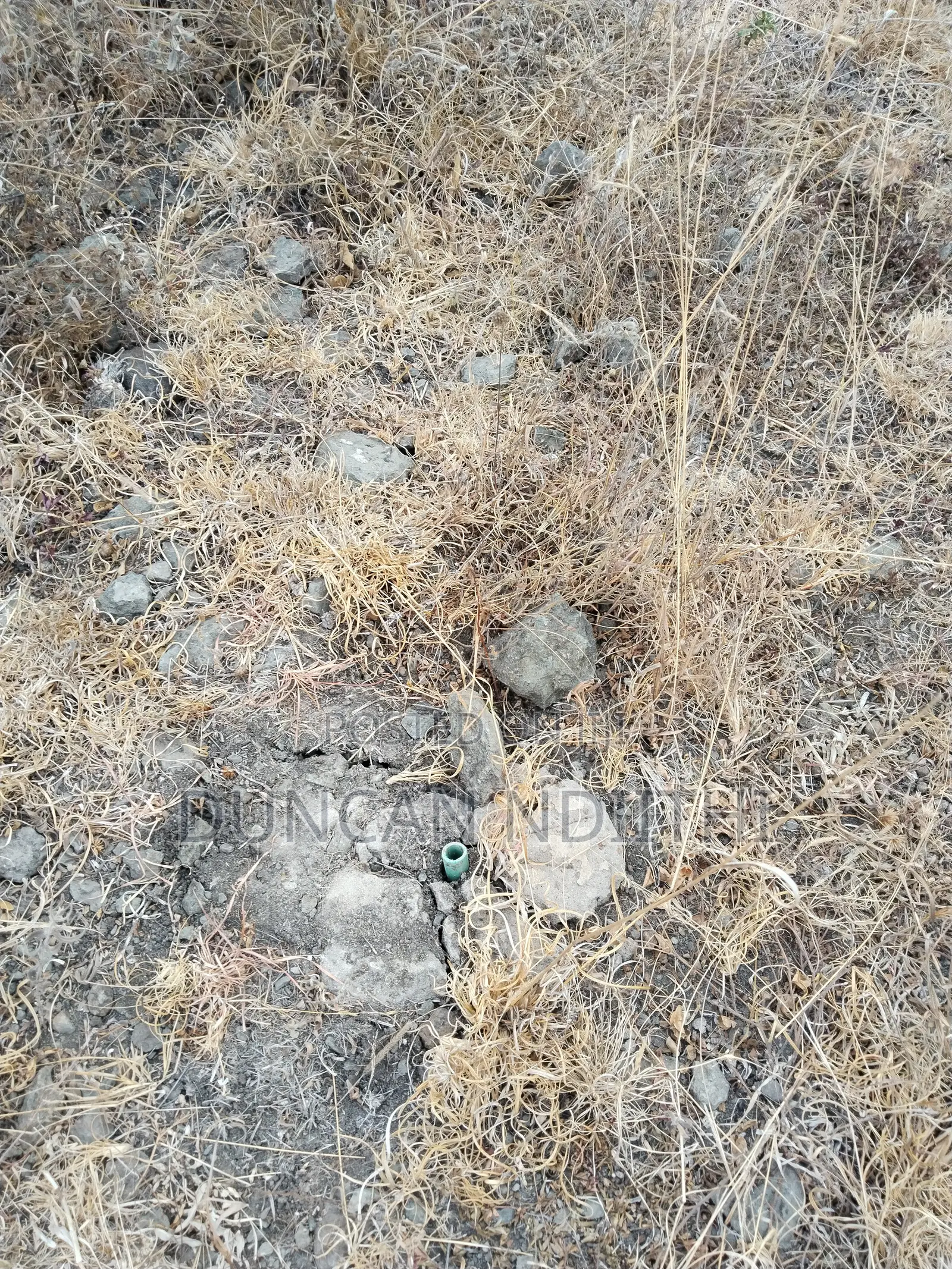 Juja Athi 50x100 Plot for Sale