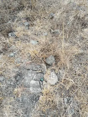 Juja Athi 50x100 Plot for Sale