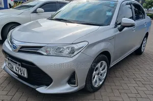 Toyota Axio 2018 Silver