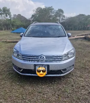 Volkswagen Passat 2011 Silver
