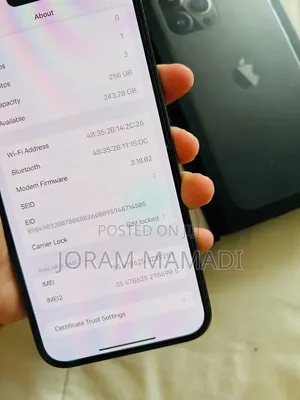 Apple iPhone 13 Pro Max 256 GB Black