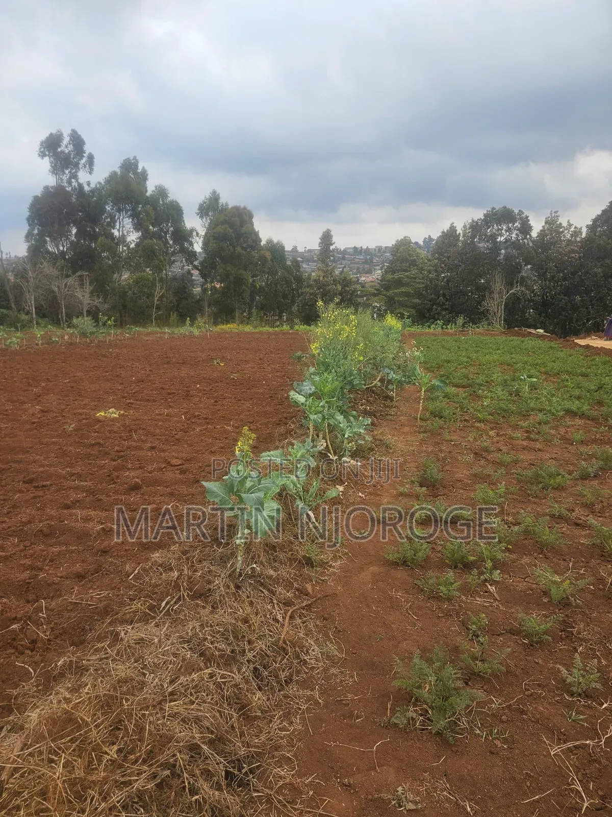 1⁄2 Acre Ngarariga