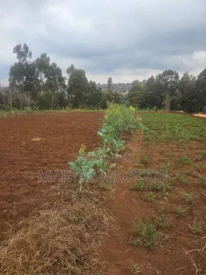 1⁄2 Acre Ngarariga
