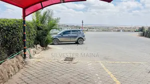 Mazda Demio 2007 Gray