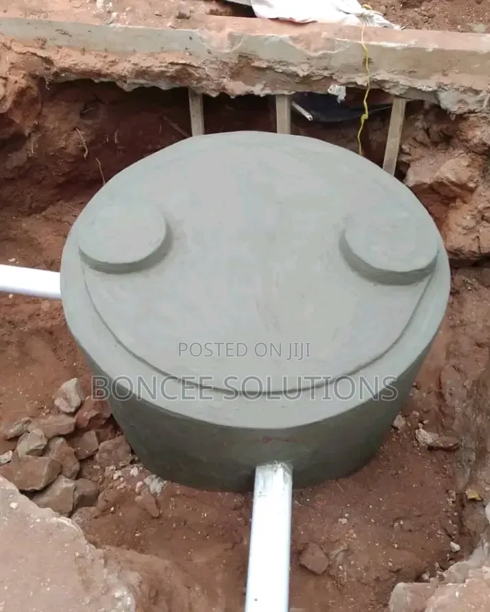 Digester and Biogas