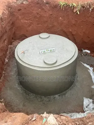 Digester and Biogas